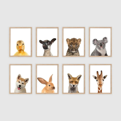 Set Tierposter 8 Stück | DIN A4 | Dekoration Kinderzimmer Poster A4 Kotenkram