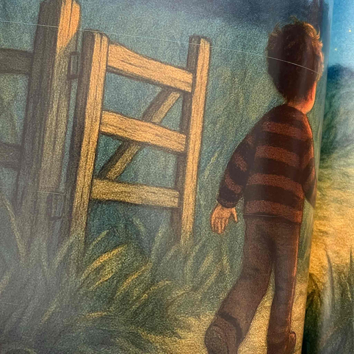 Kinderbuch mit kleinen Mängeln | Der Mond, der vom Himmel fiel | Mängelexemplar | Kinderbuch ab 3 Jahren | Gute-Nacht-Geschichte ab 3 | Kinderbuch gereimt - K2025K0551-01