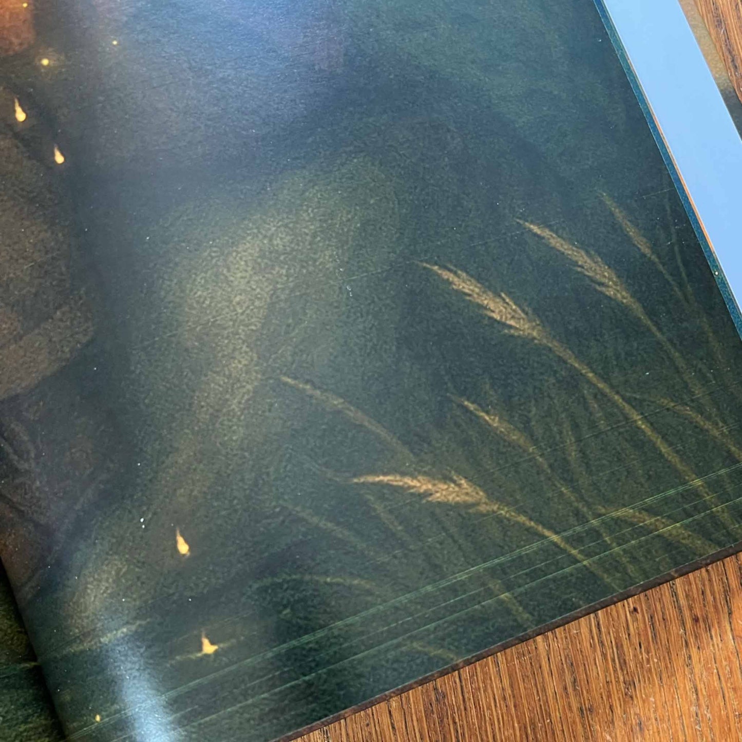 Kinderbuch mit kleinen Mängeln | Der Mond, der vom Himmel fiel | Mängelexemplar | Kinderbuch ab 3 Jahren | Gute-Nacht-Geschichte ab 3 | Kinderbuch gereimt - K2025K0551-01