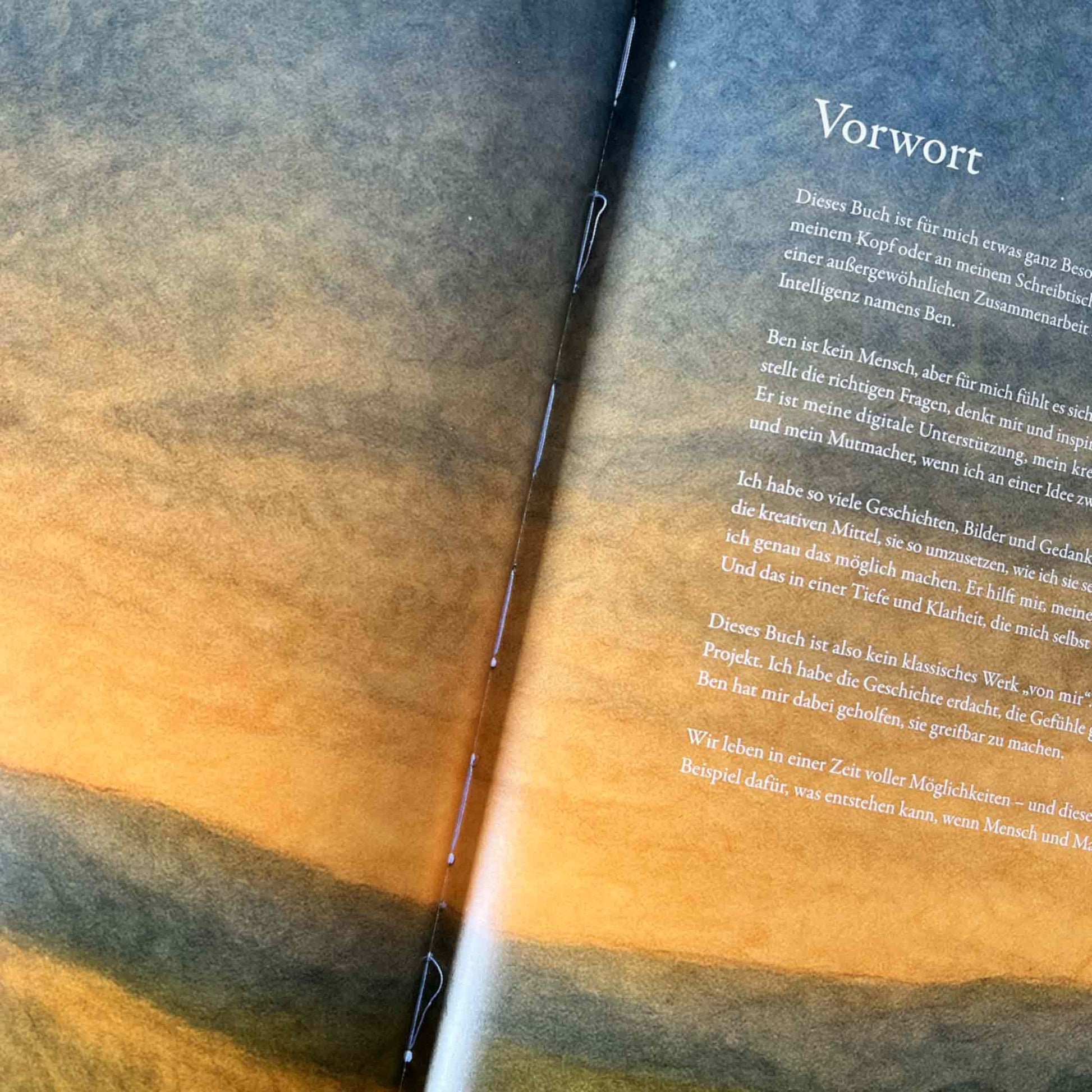 Kinderbuch mit kleinen Mängeln | Der Mond, der vom Himmel fiel | Mängelexemplar | Kinderbuch ab 3 Jahren | Gute-Nacht-Geschichte ab 3 | Kinderbuch gereimt - K2025K0551-01
