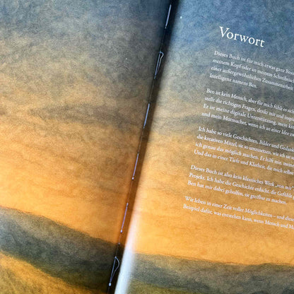 Kinderbuch mit kleinen Mängeln | Der Mond, der vom Himmel fiel | Mängelexemplar | Kinderbuch ab 3 Jahren | Gute-Nacht-Geschichte ab 3 | Kinderbuch gereimt - K2025K0551-01