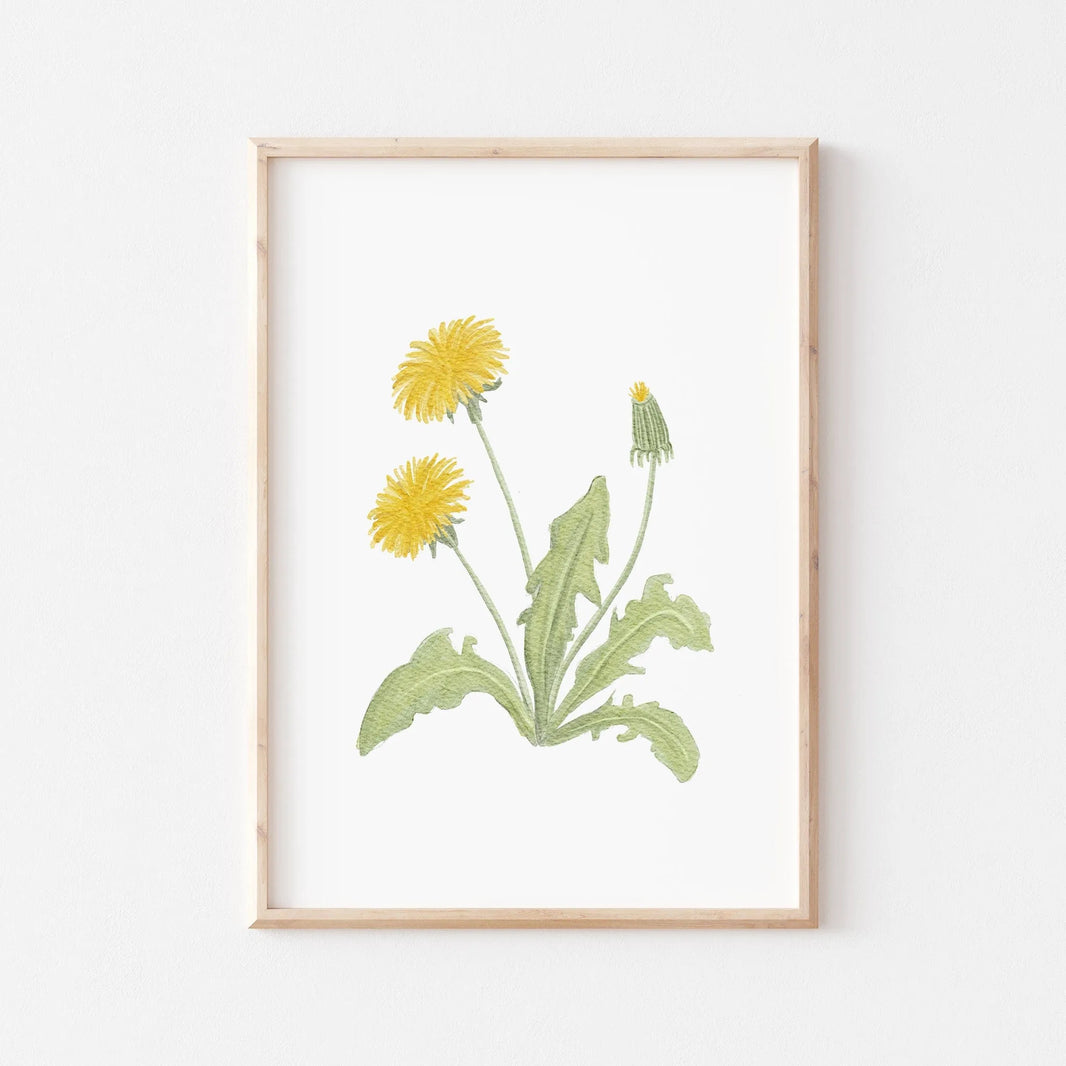 Kinderposter Löwenzahn | Frühling | DIN A4 Poster Deko Spielzimmer Kinderzimmer Aquarell Naturposter  P1424K0318D4