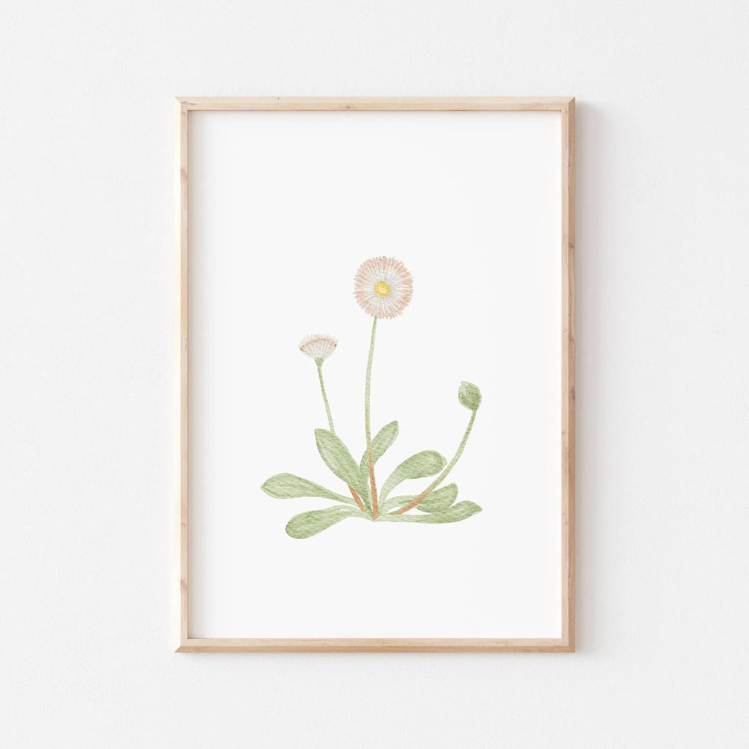 Kinderposter Gänseblümchen | Frühling | DIN A4 Poster Kinderzimmer Spielzimmer Deko Wandgestaltung Aquarell P1524K0326D4