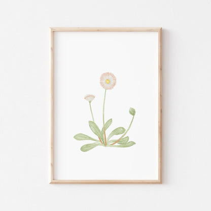 Kinderposter Gänseblümchen | Frühling | DIN A4 Poster Kinderzimmer Spielzimmer Deko Wandgestaltung Aquarell P1524K0326D4