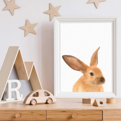 Kotenkram Tierposter Hase | Kinderzimmer Dekoration | DIN A4 | einzeln T3121K0127