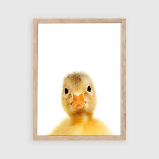 Tierposter Ente | Kinderzimmer Dekoration | DIN A4 | einzeln Poster A4 Kotenkram