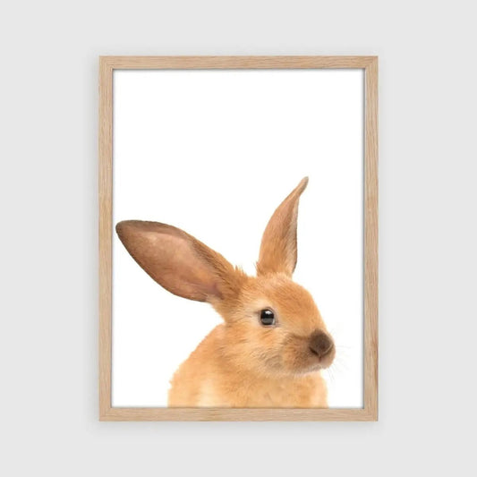 Tierposter Hase | Kinderzimmer Dekoration | DIN A4 | einzeln Poster A4 Kotenkram