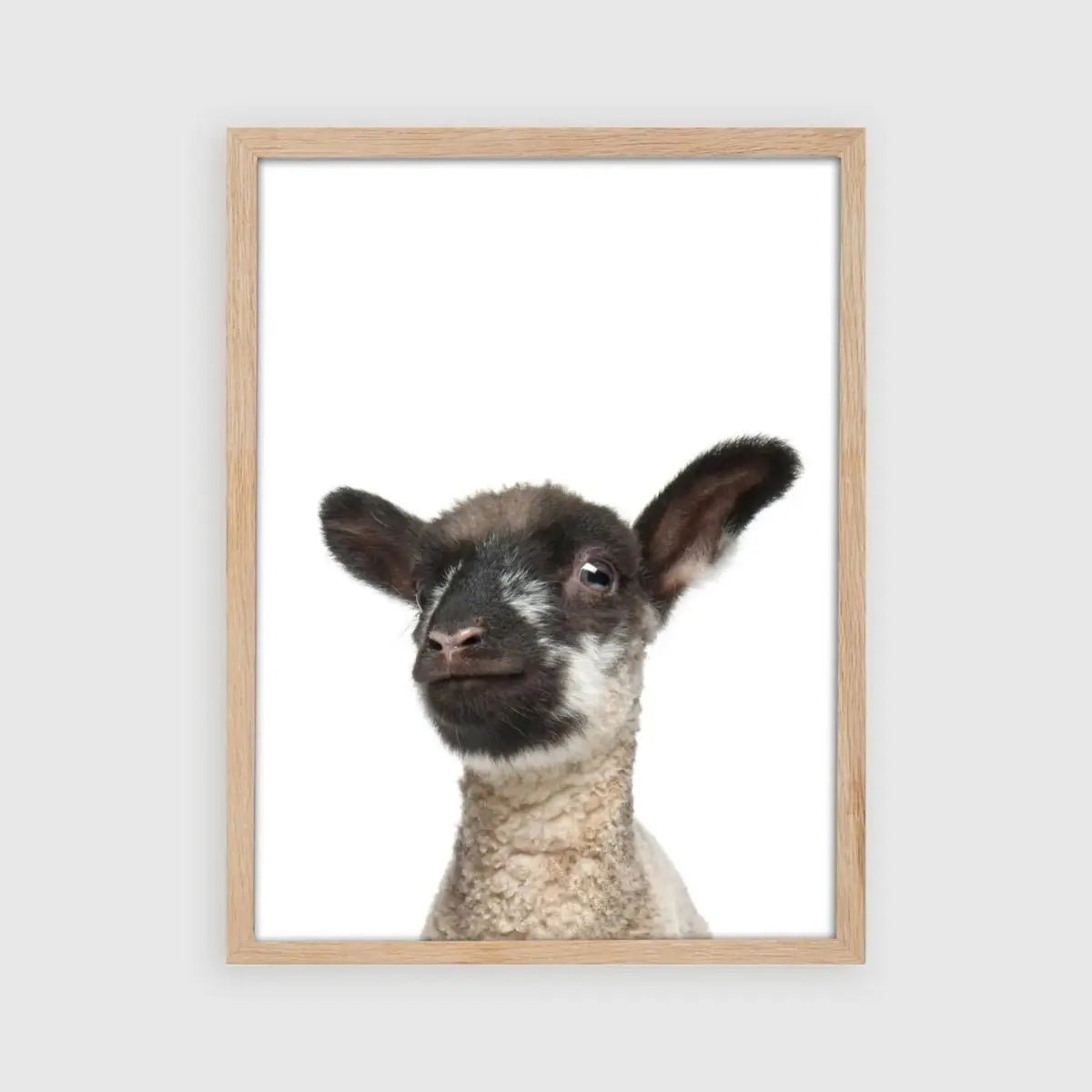 Tierposter Schaf | Kinderzimmer Dekoration | DIN A4 | einzeln Poster A4 Kotenkram